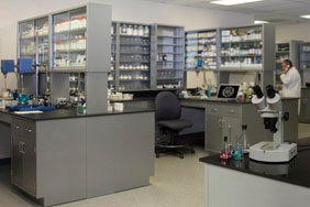 Bespoke Laboratory Furniture - Glass Cabinets Overhead Storage